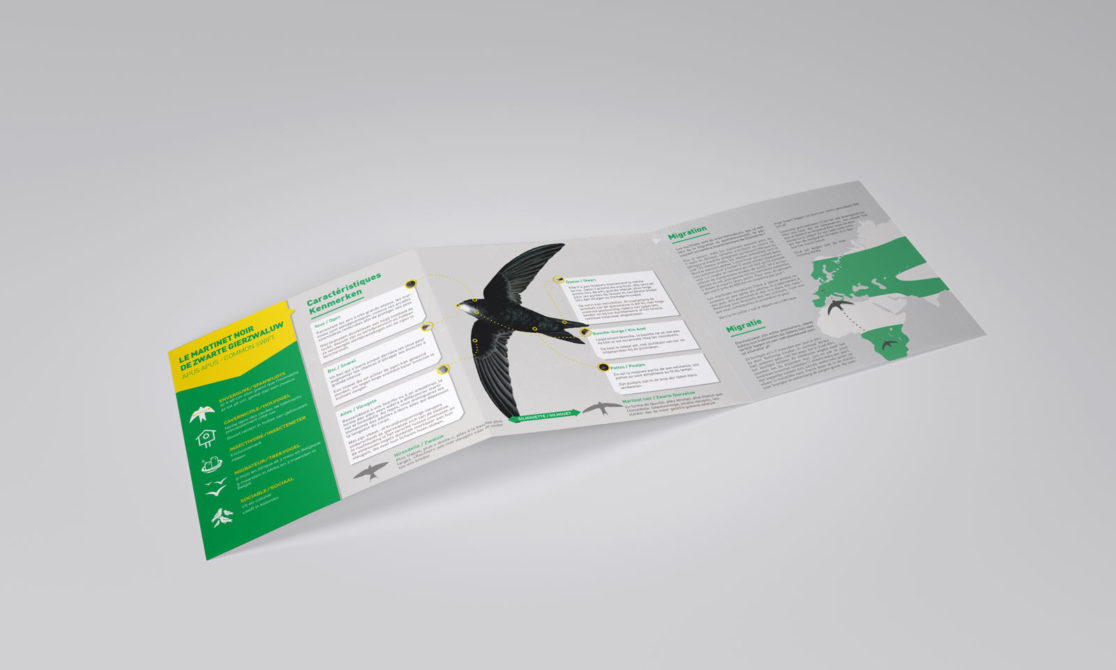 Dépliant Maison Eco Huis - Martinets noirs