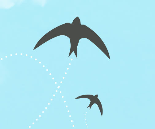 Dépliant Maison Eco Huis - Martinets noirs