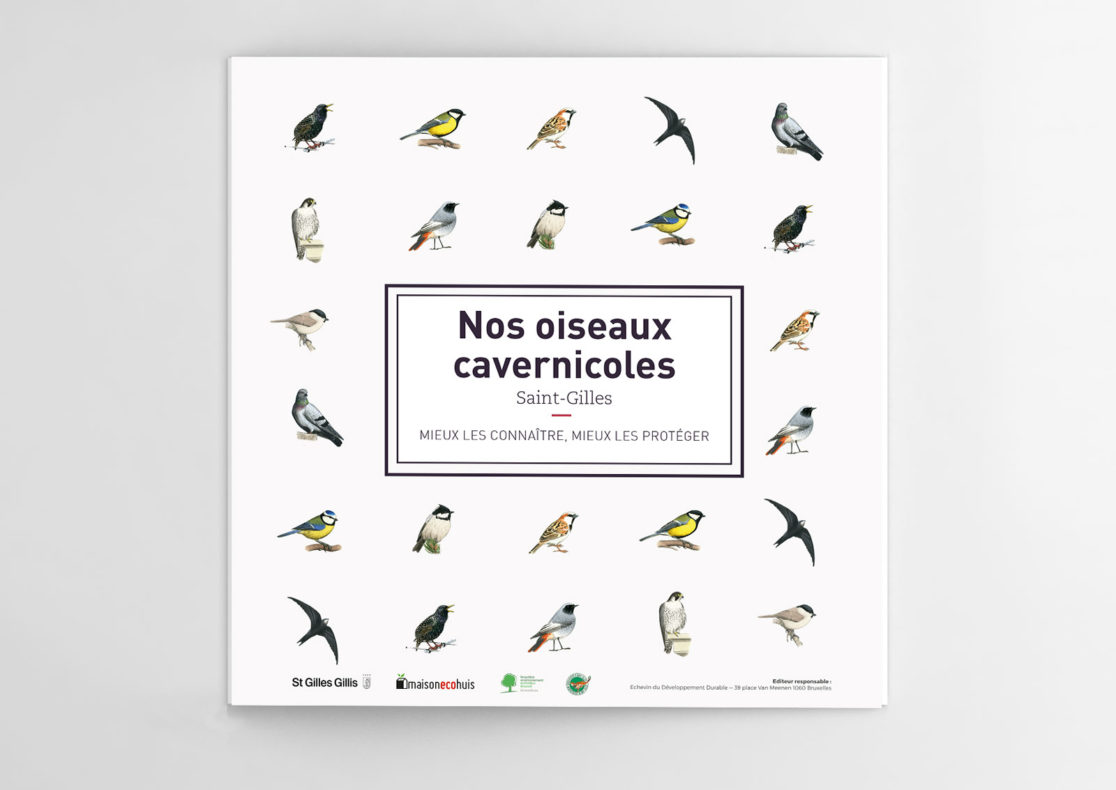 Oiseaux cavernicoles à Saint-Gilles
