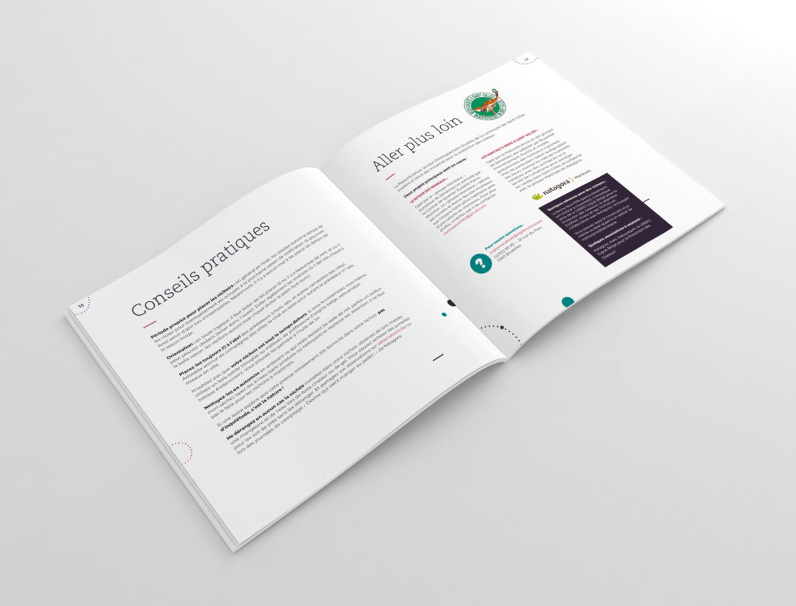 Oiseaux cavernicoles à Saint-Gilles